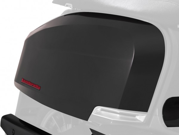 Side panel left & right carbon